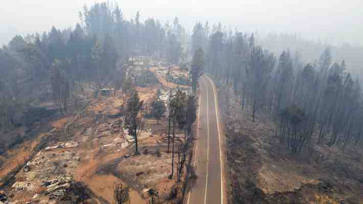 Las empresas forestales suman 12 querellas y 681 denuncias por incendios intencionales
