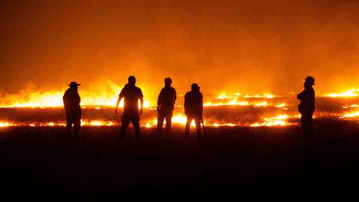 Balance de incendios forestales: Hay 51 siniestros en combate y cifra de víctimas fatales aumentó a 25