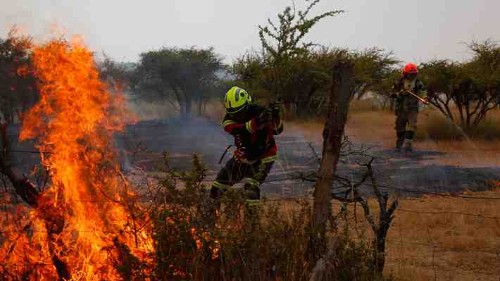 Diputados UDI impulsarán comisión investigadora: Acusan "falta de planificación" del Gobierno frente a incendios