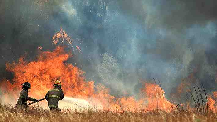 Balance de incendios forestales: Hay 38 siniestros en combate y 2.146 viviendas destruidas
