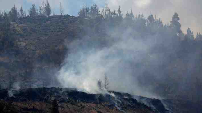 Pérdidas por los incendios forestales superarían los US$825 millones y el turismo caería un 10% en el verano