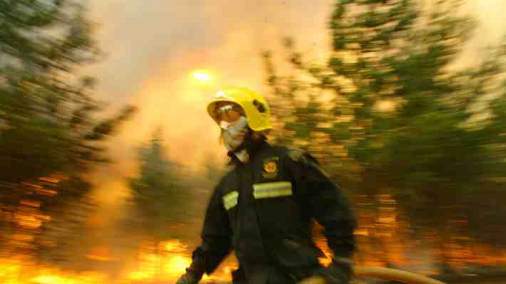 Valle del Itata: El plan de acción para ir en ayuda de las viñas exportadoras afectadas por incendios forestales