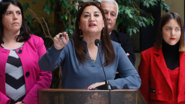 "Con mi voto lo he salvado de las acusaciones, no comprendo su reacción": Diputada Delgado tras discusión con ministro Ávila
