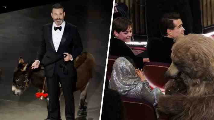 Un burro en el escenario y un oso molestando a Malala: Las anécdotas de la 95° gala de los Oscar